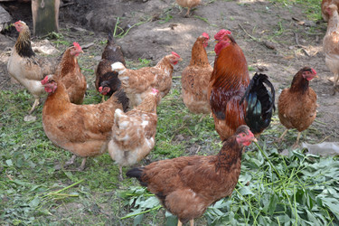 Similar image 696444