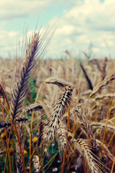 Similar image 696468