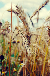 Similar image 696469