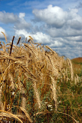 Similar image 696471