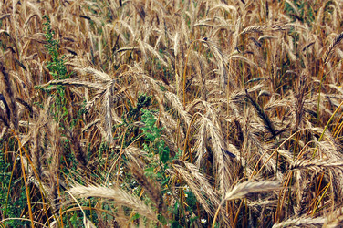 Similar image 696472