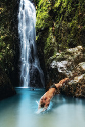 Similar image 696475