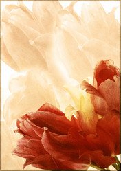 Similar image 696498