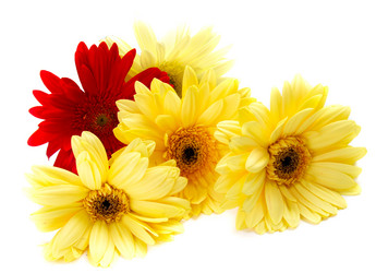 Similar image 696514