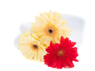 Similar image 696523