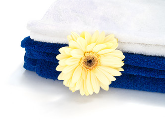 Similar image 696525