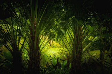 Similar image 696530