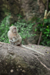 Similar image 696537