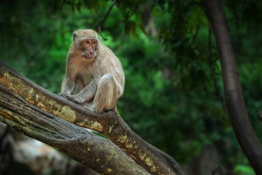 Similar image 696542