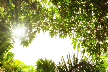 Similar image 696575