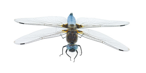 Similar image 696637