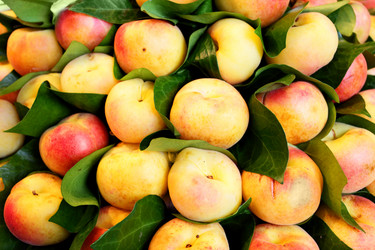 Similar image 696649