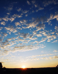 Similar image 696653