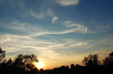 Similar image 696660