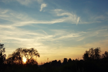 Similar image 696663