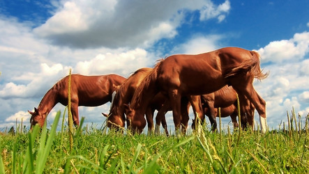 Similar image 696673