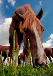 Similar image 696674