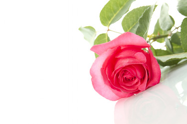 Similar image 696754