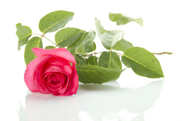 Similar image 696755