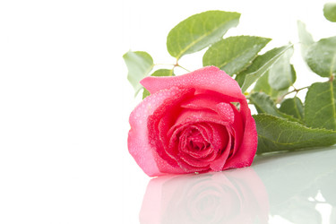 Similar image 696756