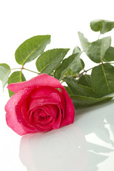 Similar image 696757