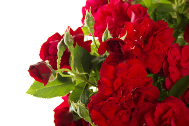 Similar image 696762