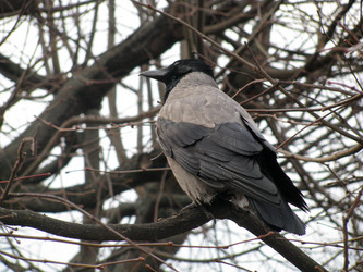 Similar image 696775