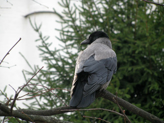 Similar image 696776