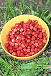 Similar image 696789