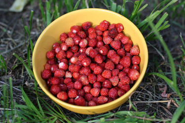 Similar image 696790