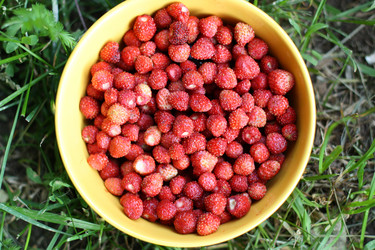 Similar image 696791