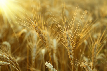 Similar image 696812