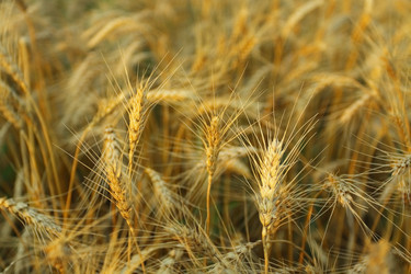 Similar image 696813