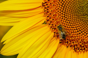 Similar image 696815