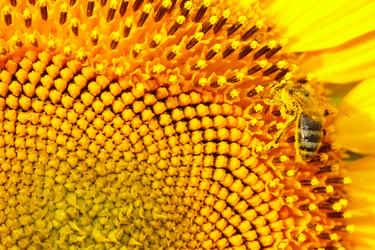 Similar image 696816