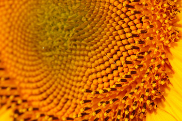 Similar image 696818