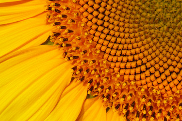 Similar image 696820