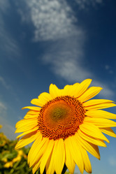 Similar image 696822