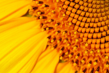 Similar image 696825