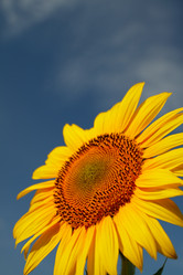 Similar image 696826