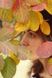 Similar image 696835