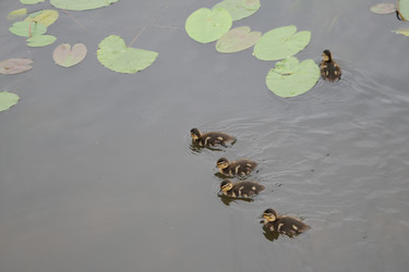 Similar image 696847