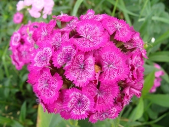 Similar image 696860