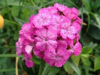 Similar image 696861