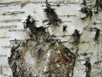 Similar image 696864