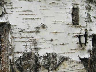 Similar image 696865