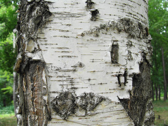 Similar image 696866