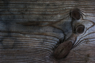 Similar image 696885