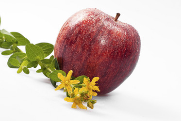 Similar image 696893