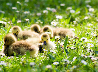 Similar image 696913